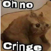 :cat_ohnocringe: