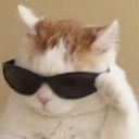 :cat_swag: